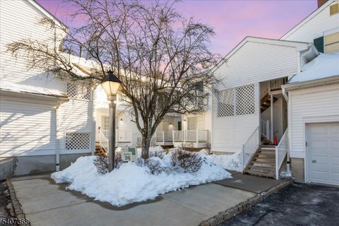 62 Smithfield Ct Bernards Twp. NJ 07920