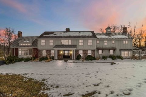 290 Mountainside Rd Mendham Boro NJ 07945