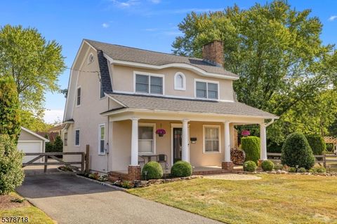 29 Mapledale Ave Roxbury Twp. NJ 07876