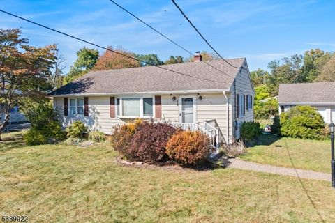 Photo of 42 Falcon Rd, Hillsborough, NJ 08844 (MLS # 3991363)