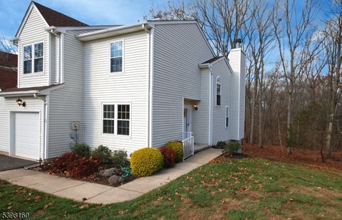 34 Iroquois Trl Branchburg Twp. NJ 08876