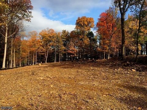 118 Old Stirling Rd Warren Twp. NJ 07059