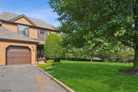 13 Estate Rd Hillsborough Twp. NJ 08844