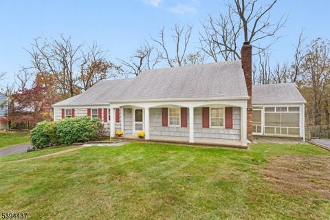 Photo of 1024 Mayflower Ct, Bridgewater, NJ 08836 (MLS # 3995360)