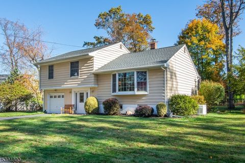 Photo of 3 Beechwood Dr, Roxbury, NJ 07876 (MLS # 3995192)