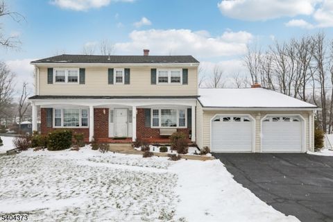 29 Joyce Dr Roxbury Twp. NJ 07876