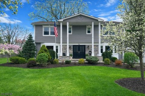 1 Dellmead Dr Livingston Twp. NJ 07039