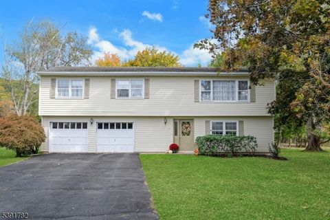 5 Francis Ter Mount Olive Twp. NJ 07840