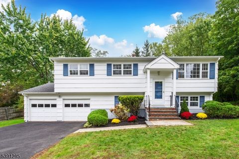 13 Spruce St Hanover Twp. NJ 07927
