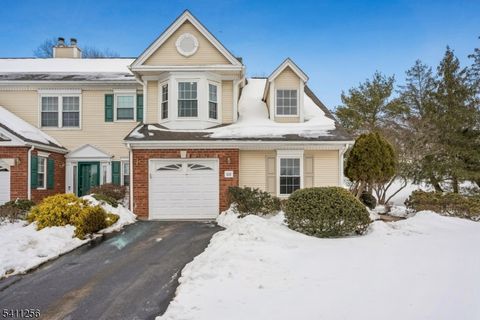 508 Reading Cir Bridgewater Twp. NJ 08807