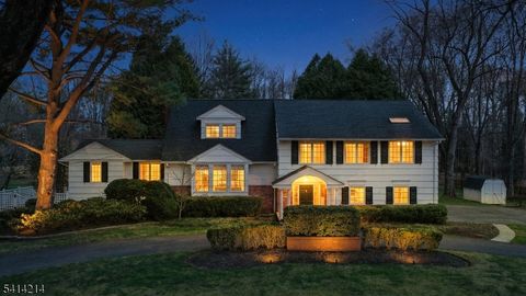 11 Fenimore Dr Scotch Plains Twp. NJ 07076