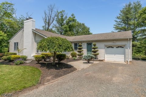 217 Long Hill Rd Hillsborough Twp. NJ 08844