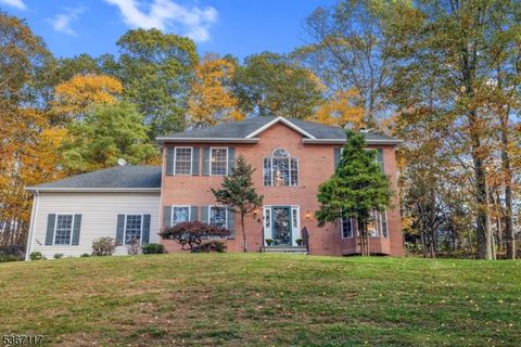 Photo of 139 Flanders Netcong Rd, Mount Olive, NJ 07836 (MLS # 3994822)