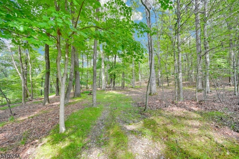 51 Paulinskill Lake Rd