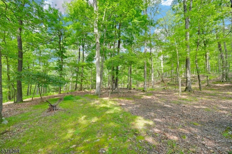 51 Paulinskill Lake Rd