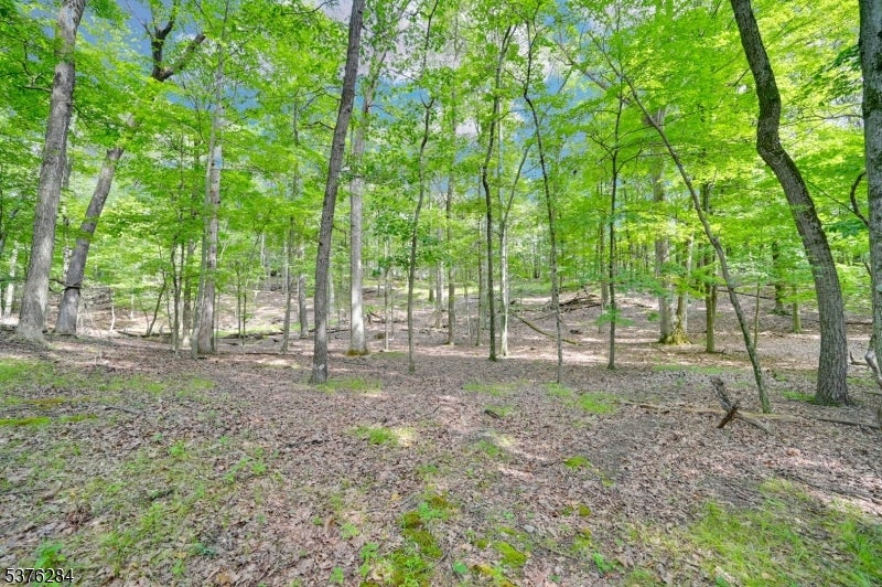 51 Paulinskill Lake Rd