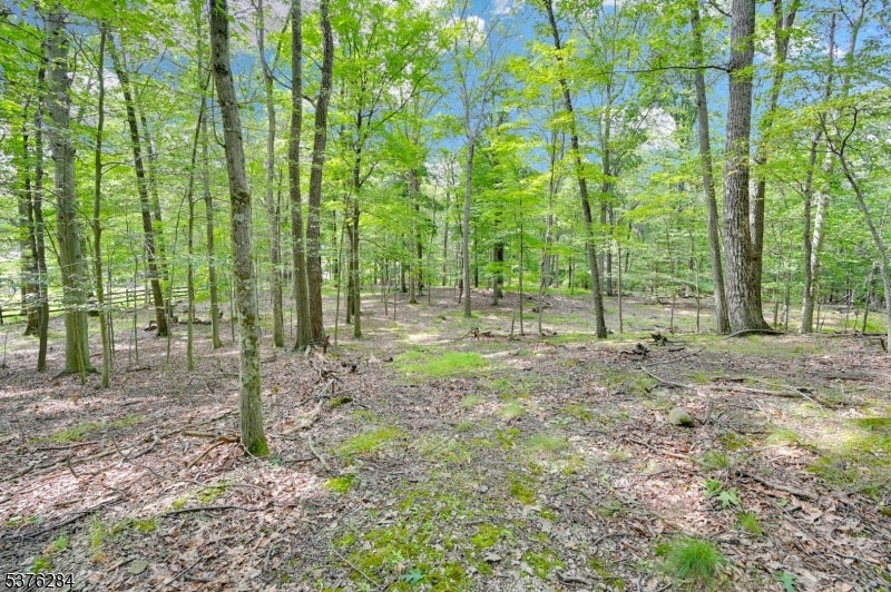 51 Paulinskill Lake Rd