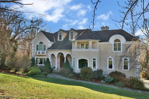 4 Vizcaya Ct Wayne Twp. NJ 07470