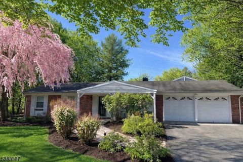 44 Hoffman Dr Califon Boro NJ 07830