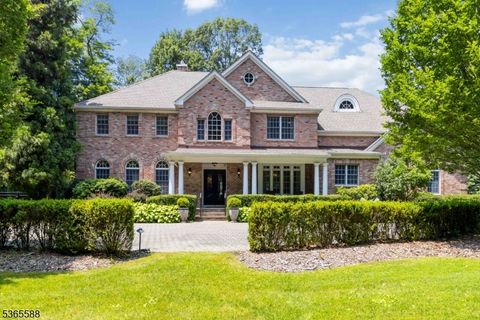 10 Westminster Pl Morris Twp. NJ 07960