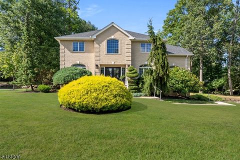 9 Woodland Ct Wayne Twp. NJ 07470