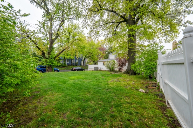 615 Lincoln Park