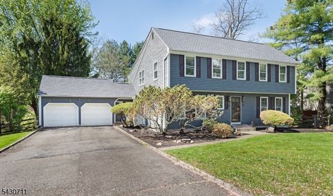 9 Langford Dr Mendham Twp. NJ 07945