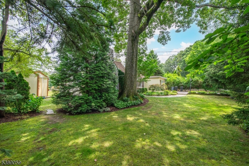 18 Mosswood Trl
