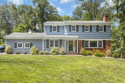 180 Lorraine Dr Berkeley Heights Twp. NJ 07922