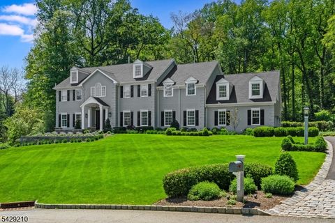 14 Brookrace Dr Mendham Twp. NJ 07945