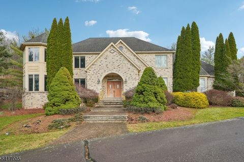 111 Chopin Dr Wayne Twp. NJ 07470