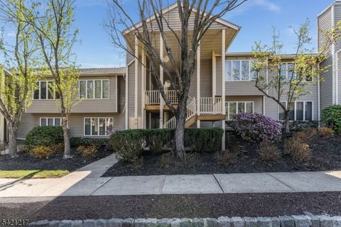 65 Westchester Ter Clinton Twp. NJ 08801