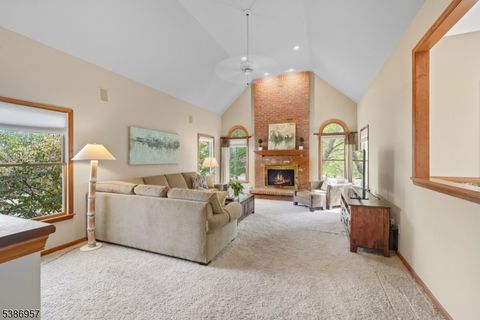 20 Horseshoe Dr Hillsborough Twp. NJ 08844