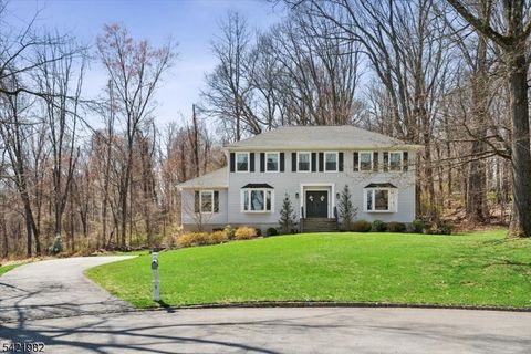 5 Jessica Pl Randolph Twp. NJ 07869