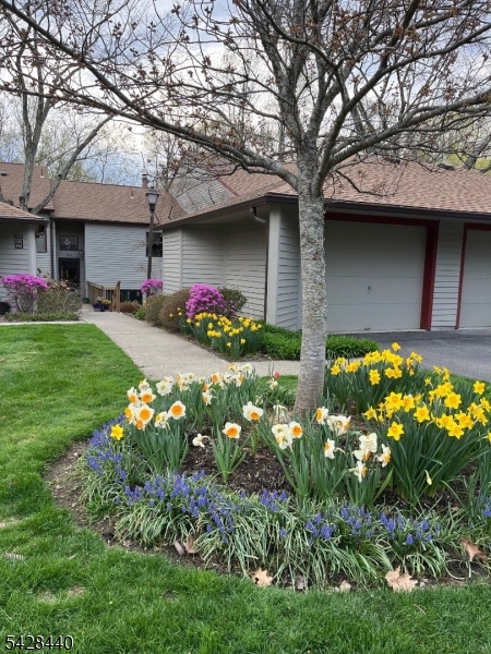 240 Mountain View Dr