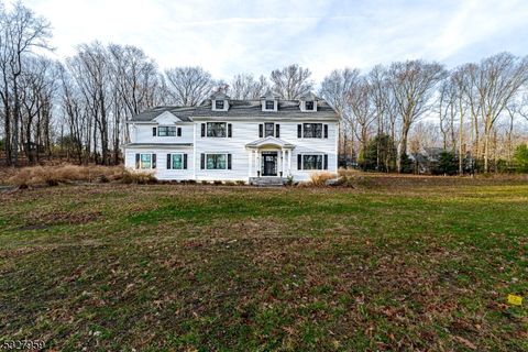 5 Kensington Ct Mendham Twp. NJ 07960