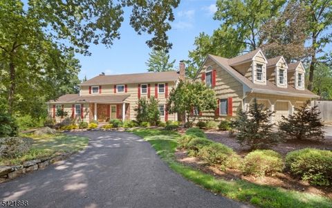 10 Turtleback Rd Washington Twp. NJ 07830