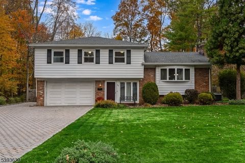 Photo of 45 Wilson Dr, Berkeley Heights, NJ 07922 (MLS # 3995200)