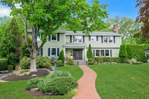 10 Wilcox Drive Mountain Lakes Boro NJ 07046