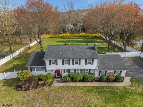 4 Babbitt Rd Mendham Boro NJ 07945