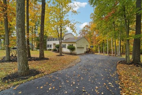 20 Northfield Dr Wantage Twp. NJ 07461