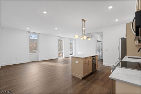 21 Lincoln Park 100 Newark City NJ 07102