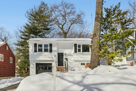 45 Kempshall Ter Fanwood Boro NJ 07023