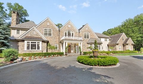 4 Rainetree Rdg Mendham Twp. NJ 07931