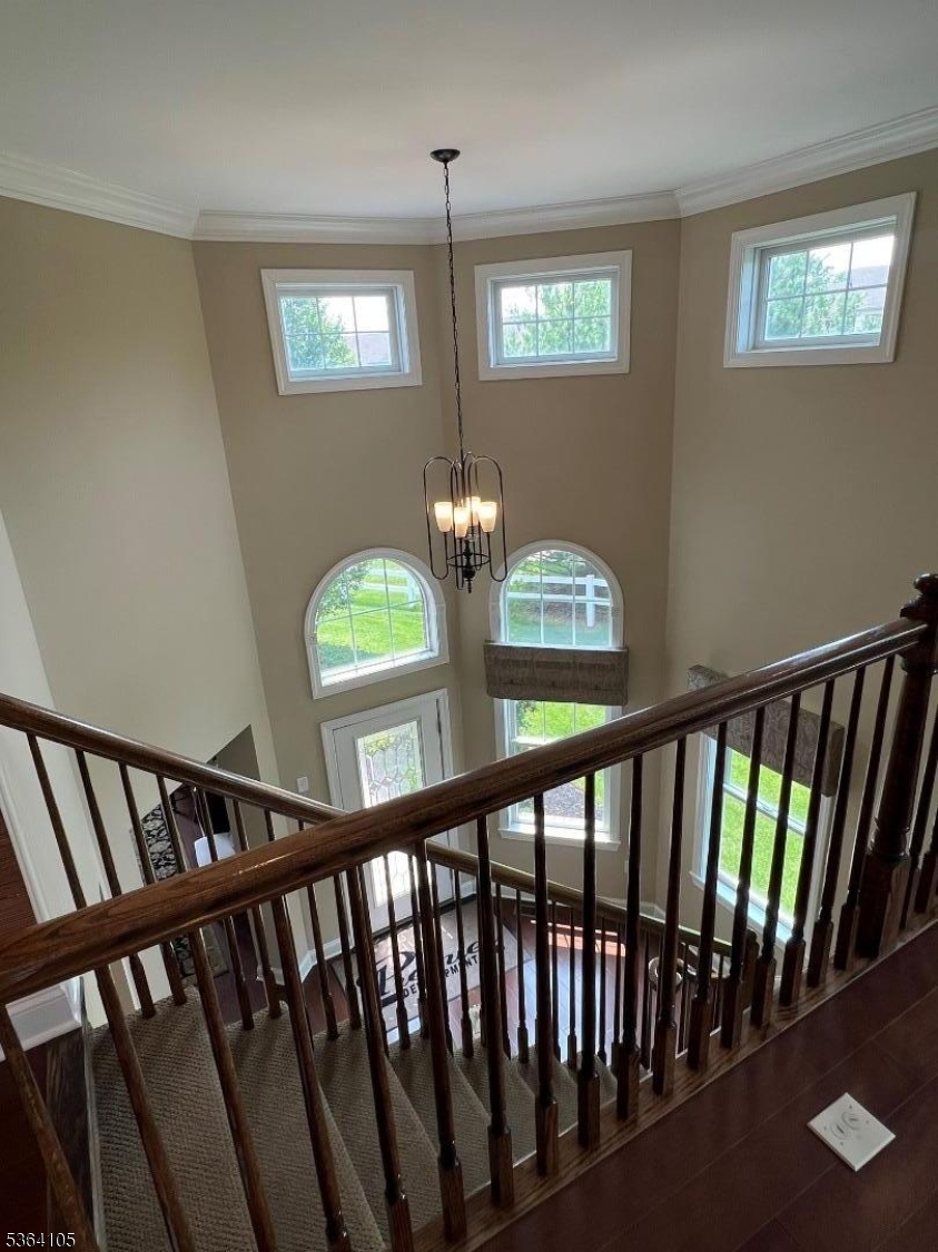8 Leidl Cir
