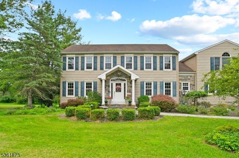 17 Apple Tree Rd Readington Twp. NJ 08822