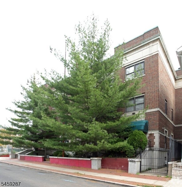 33 Morrell St