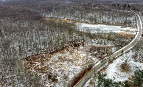 00 Mt Salem Rd Wantage Twp. NJ 07461