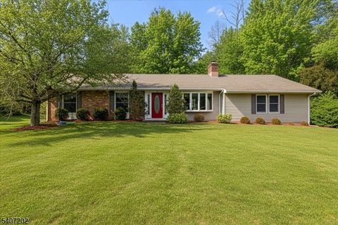 331 County Road 513 Lebanon Twp. NJ 07830