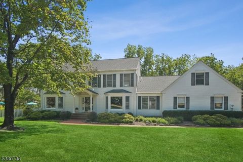 18 Flintlock Rd Readington Twp. NJ 08822